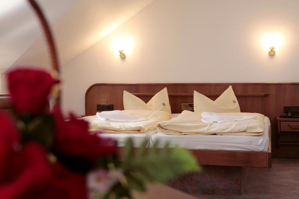 Rennsteighotel Herrnberger Hof ノイウハウス・アム・レンヴェーク 部屋 写真