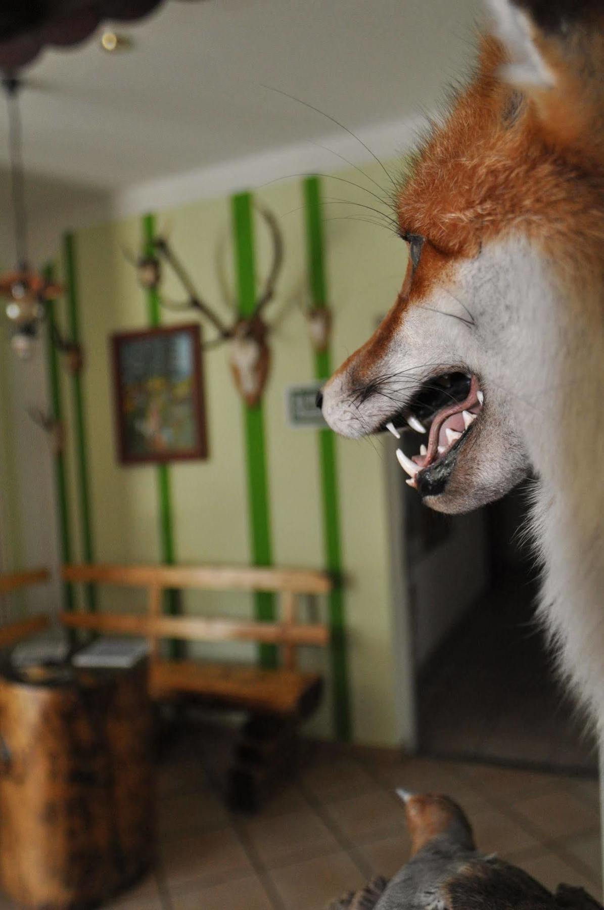 Rennsteighotel Herrnberger Hof ノイウハウス・アム・レンヴェーク エクステリア 写真